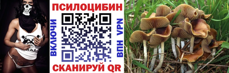 Псилоцибиновые грибы GOLDEN TEACHER  Купить закладки  Иннополис 