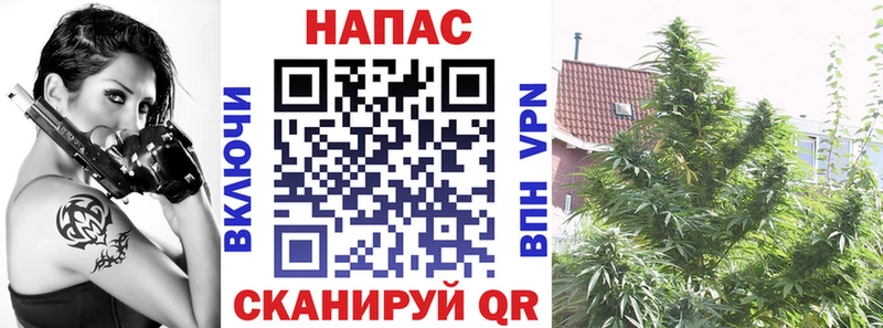 Купить где  Иннополис  Шишки марихуана MAZAR 